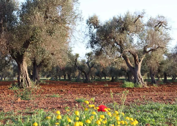 Passione Del Sud 3* Лечче