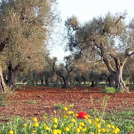 Passione Del Sud Bed and Breakfast